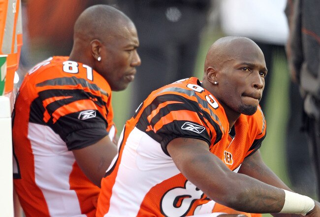 CINCINNATI - NOVEMBER 21:  Chad Ochocinco #85 and Terrell Owens #81 of the Cincinnati Bengals watch from the sideline during the final minutes of the Bengals 49-31 loss to the Buffalo Bills at Paul Brown Stadium on November 21, 2010 in Cincinnati, Ohio.  