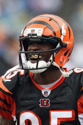 CHARLOTTE, NC - SEPTEMBER 26:  Chad Ochocinco #85 of the Cincinnati Bengals reacts against the Carolina Panthers during their game at Bank of America Stadium on September 26, 2010 in Charlotte, North Carolina.  (Photo by Streeter Lecka/Getty Images)
