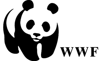 Wwf Wrestling Panda
