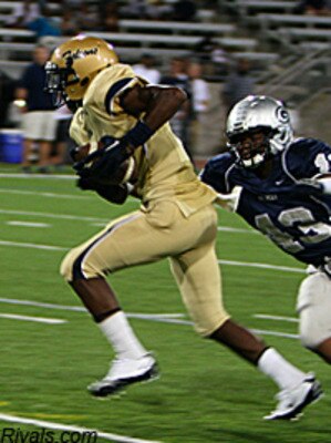Stefdiggs_display_image