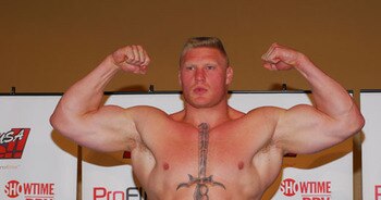 Brocklesnar_display_image