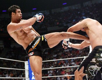 Vitor-belfort-ufc-126_display_image