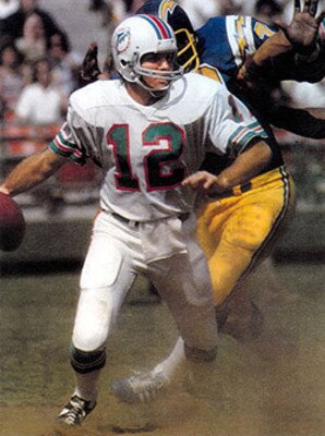 Griese_display_image