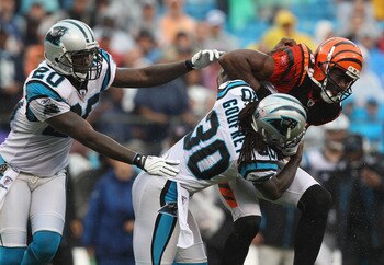 CHARLOTTE, NC - SEPTEMBER 26:  Terrell Owens #81 of the Cincinnati Bengals keeps the ball away from teammates Chris Gamble #20 and Charles Godfrey #30 of the Carolina Panthers during their game at Bank of America Stadium on September 26, 2010 in Charlotte