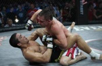 Joewarren_display_image