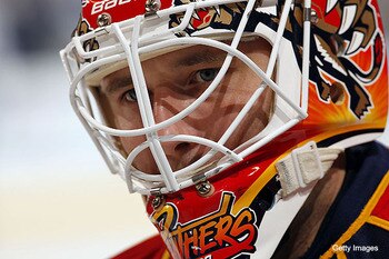 Vokoun_display_image