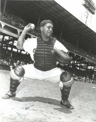 Roycampanella_display_image