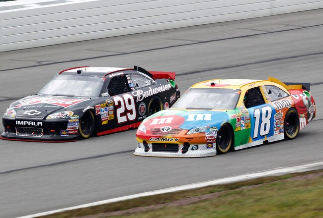LONG POND, PA - AUGUST 07:  Kevin Harvick, driver of the #29 Budweiser Chevrolet, races Kyle Busch, driver of the #18 M&M's Toyota, during the NASCAR Sprint Cup Series Good Sam RV Insurance 500 at Pocono Raceway on August 7, 2011 in Long Pond, Pennsylvani