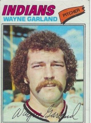 Waynegarland_display_image