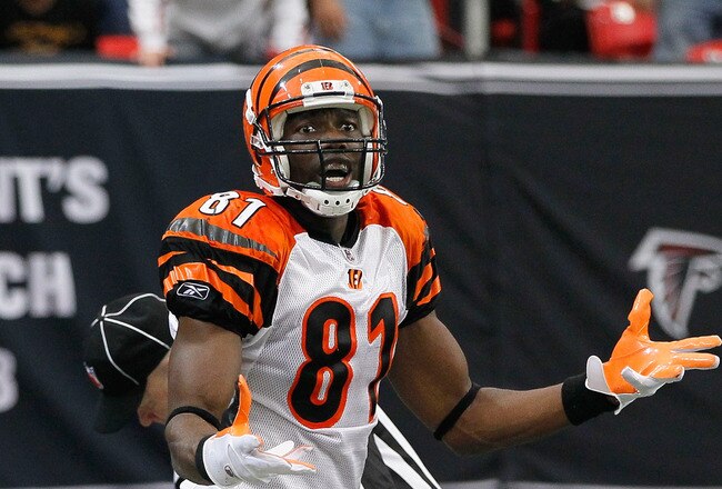 ATLANTA - OCTOBER 24:  Terrell Owens #81 of the Cincinnati Bengals against the Atlanta Falcons at Georgia Dome on October 24, 2010 in Atlanta, Georgia.  (Photo by Kevin C. Cox/Getty Images)