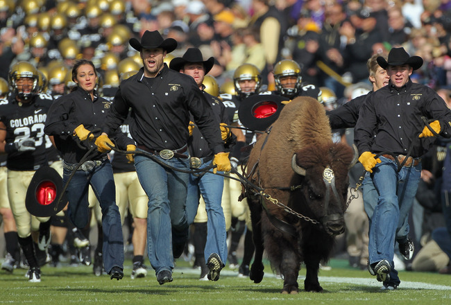 Colorado Buffs