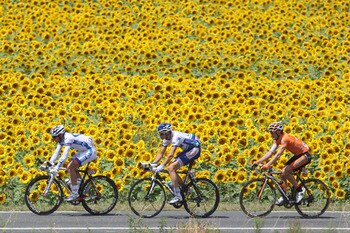 This year's race should be close