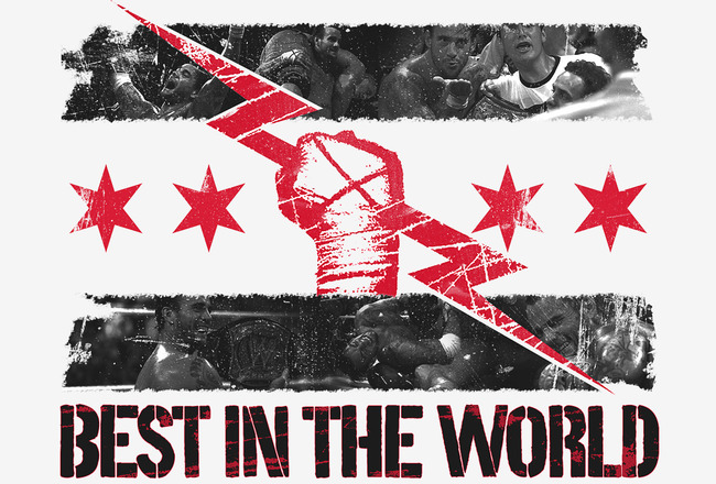 Official Fresh Joins or We Riot Thread - Page 6 Cm-punk-best-in-the-world-logo-wallpaper-1280x1024_crop_650x440