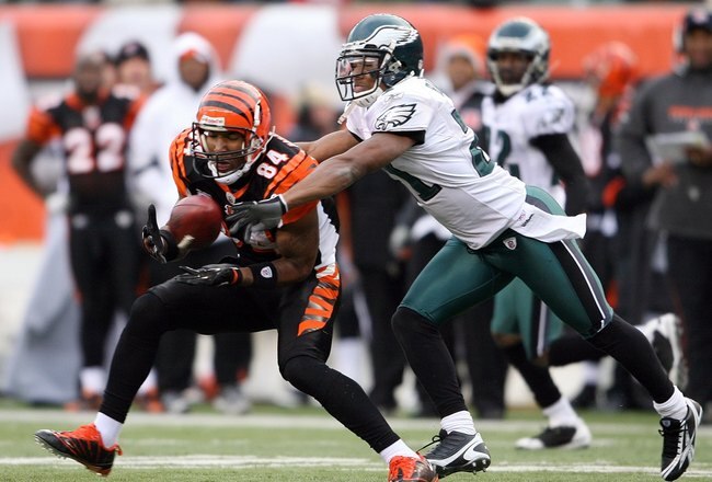 CINCINNATI - NOVEMBER 16:  T.J. Houshmandzadeh #84 of the Cincinnati Bengals catches the ball against Joselio Hanson #21 of the Philadephia Eagles during the NFL game at Paul Brown Stadium on November 16, 2008 in Cincinnati, Ohio. The Eagles and Bengals p