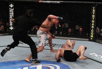 Brendanschaub2_display_image