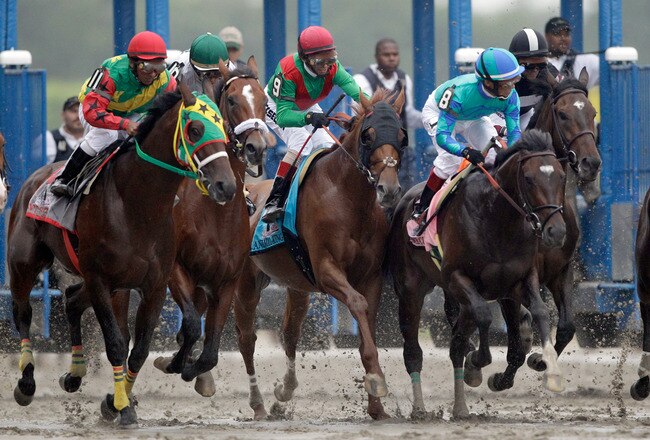 ELMONT, NY - JUNE 11: Jockey John Velazquez aboard Animal Kingdom #9 breaks from the starting gate during the 143rd running of the Belmont Stakes at Belmont Park on June 11, 2011 in Elmont, New York.  (Photo by Rob Carr/Getty Images)