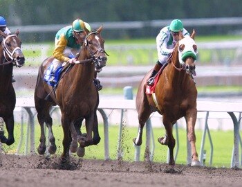 Coil's sire Point Given