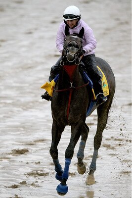 LOUISVILLE, KY - MAY 03:  The Factor runs during the morning exercise session in preparation for the 137th Kentucky Derby at Churchill Downs on May 3, 2011 in Louisville, Kentucky.  (Photo by Matthew Stockman/Getty Images)