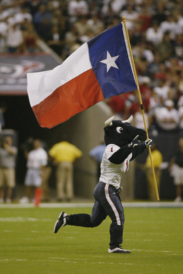 HOUSTON, TX - SEPTEMBER 8:  Mascot Toro of the Houston Texans runs with the Texas state flag during the NFL game against the Dallas Cowboys on September 8, 2002 at Reliant Stadium in Houston, Texas. The Texans won their first regular season game 19-10.  (