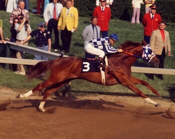 Secretariat_preakness_display_image
