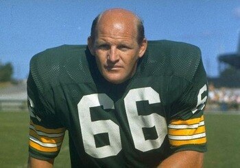 Ray-nitschke_display_image