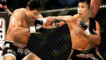 Cungle_display_image_display_image