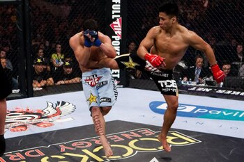 Cungle_display_image