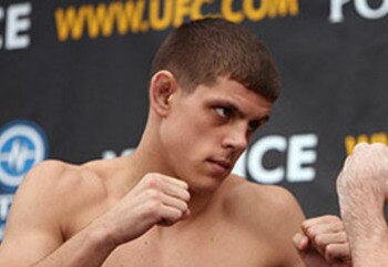 Lauzon_display_image