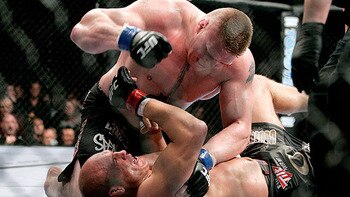 Brocky_display_image