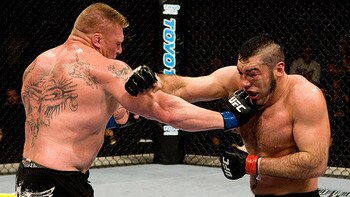 Lesnar_display_image