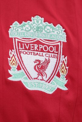 72065473_display_image