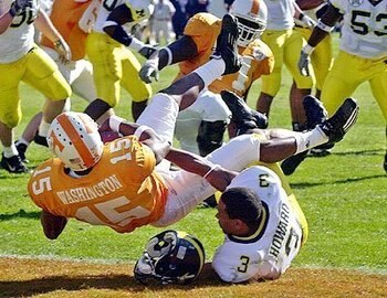 Volsmichigan_display_image