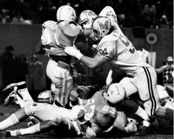 74bowl_display_image