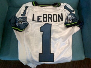 Lebron_display_image