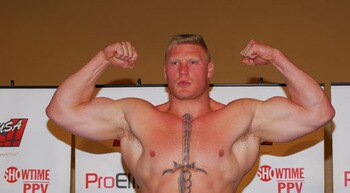 Brocklesnar_display_image