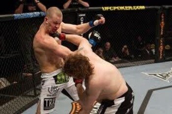 Roy Nelson knocking out Stefan Struve
