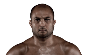 Bj_penn_500x325_ufc_display_image