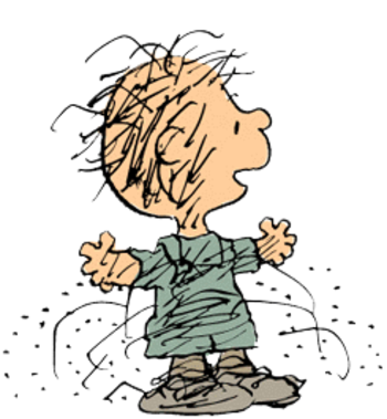 Pig-pen_peanuts_display_image.jpg