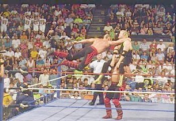TagTeamFinisher_display_image.jpg