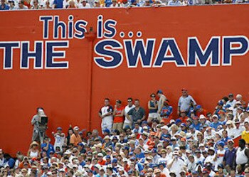 The_swamp_display_image