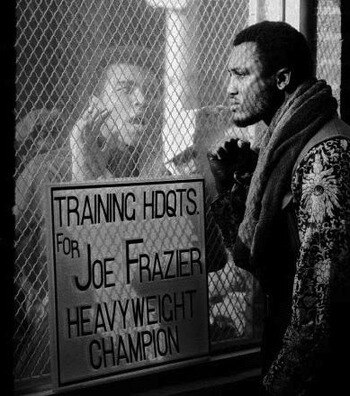 Frazier_display_image