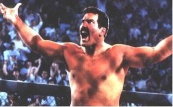Dansevern_display_image