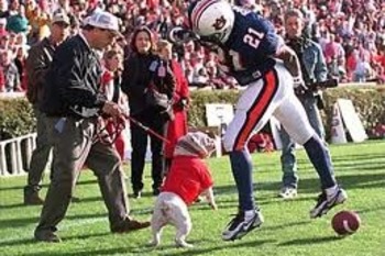 Gamecocks will be yelling 'WAR EAGLE' during Georgia game