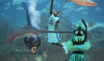 Carrier-underwater_display_image