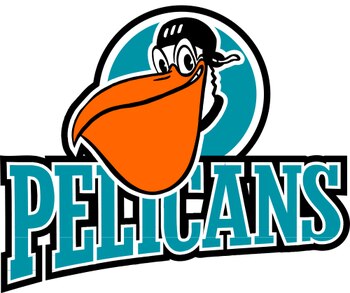Pelicans_display_image
