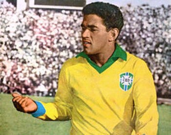 250px-mfdsantos-garrincha_display_image
