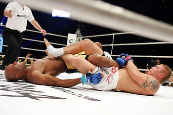 anderson-silva-ryo-chonan_display_image.jpg