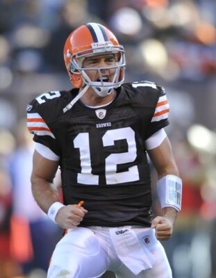 Coltmccoy_display_image