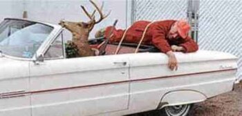 Deer_hunting-848_display_image