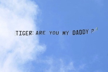 tiger_display_image.jpg